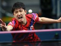 开云体育官方网站-关于奥地利队绝杀法国队，张本智和扛起全队的信息