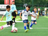 开云体育下载-国内足球赛事精彩纷呈，球队实力强劲的简单介绍