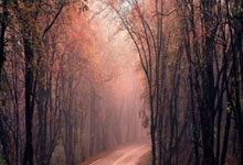 开云体育下载-意甲焦点战之夜，锡安成为全场焦点