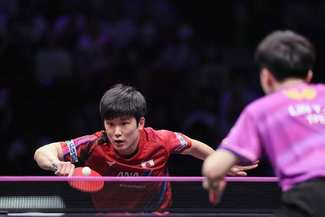 瑞典队险胜波兰队，张本智和高光表现的简单介绍