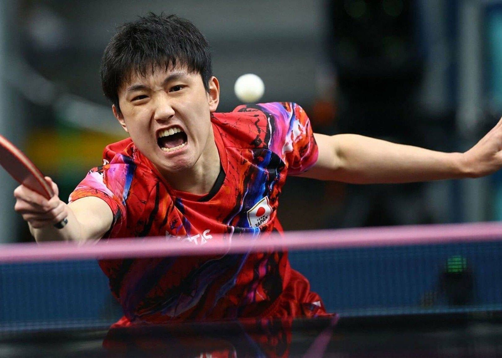 关于奥地利队绝杀法国队，张本智和扛起全队的信息