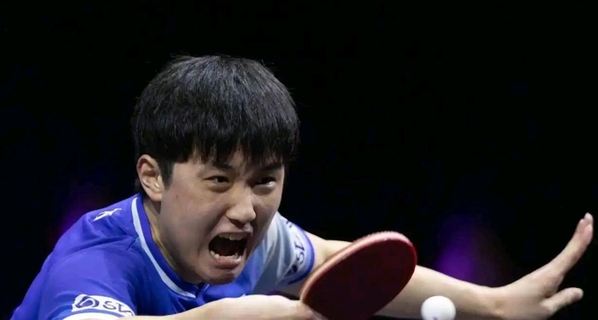 关于奥地利队绝杀法国队，张本智和扛起全队的信息