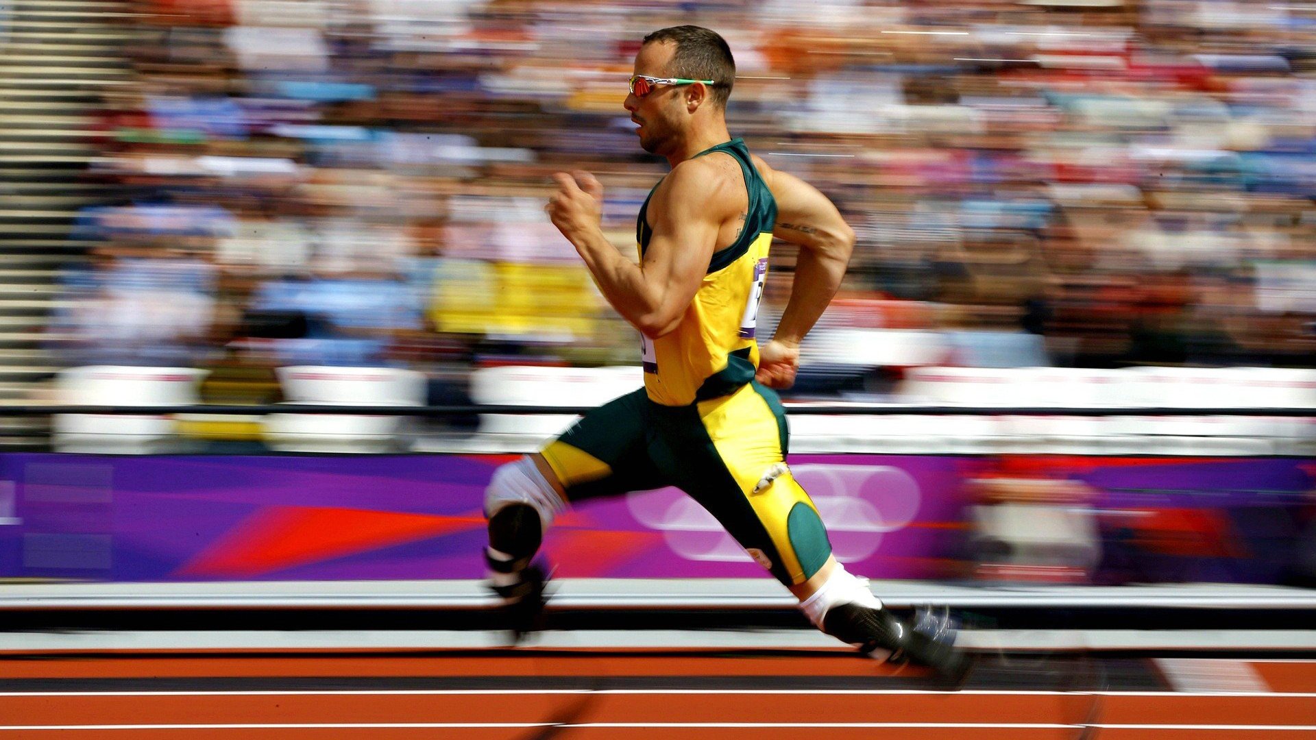 赛道与球场，维斯塔潘的加冕与奇才的狂胜